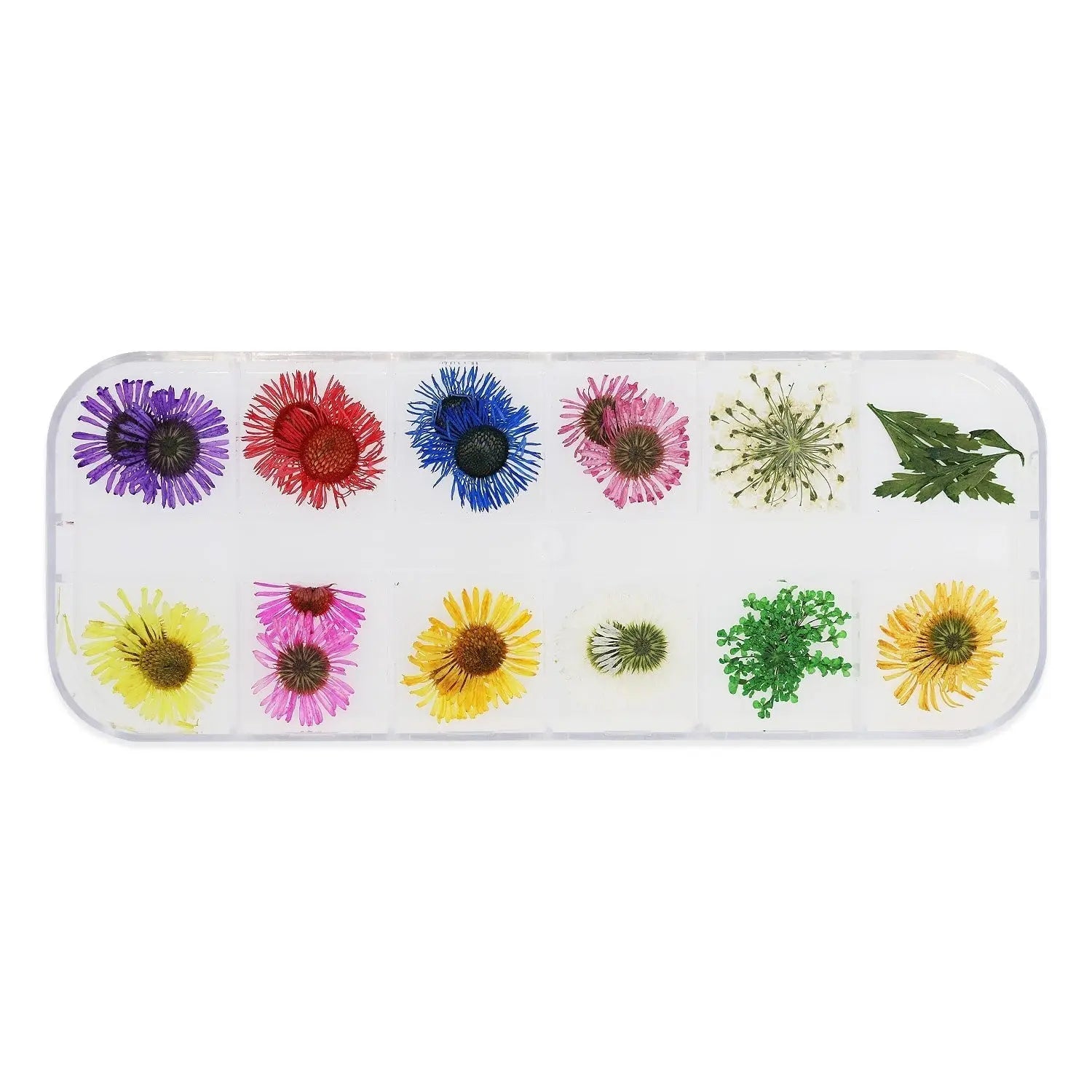 Dried Flower Set - 002   Naio Nails